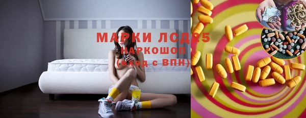 хмурый Осинники