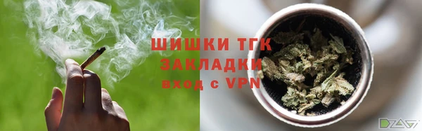 хмурый Осинники