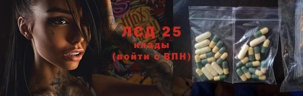 хмурый Осинники