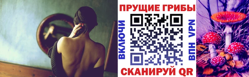 Псилоцибиновые грибы MAGIC MUSHROOMS  продажа наркотиков  Владимир 
