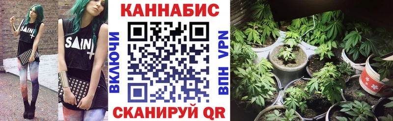 Бошки марихуана VHQ  наркошоп  Владимир 